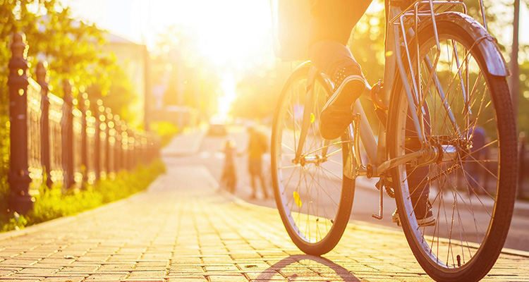 Pedalada